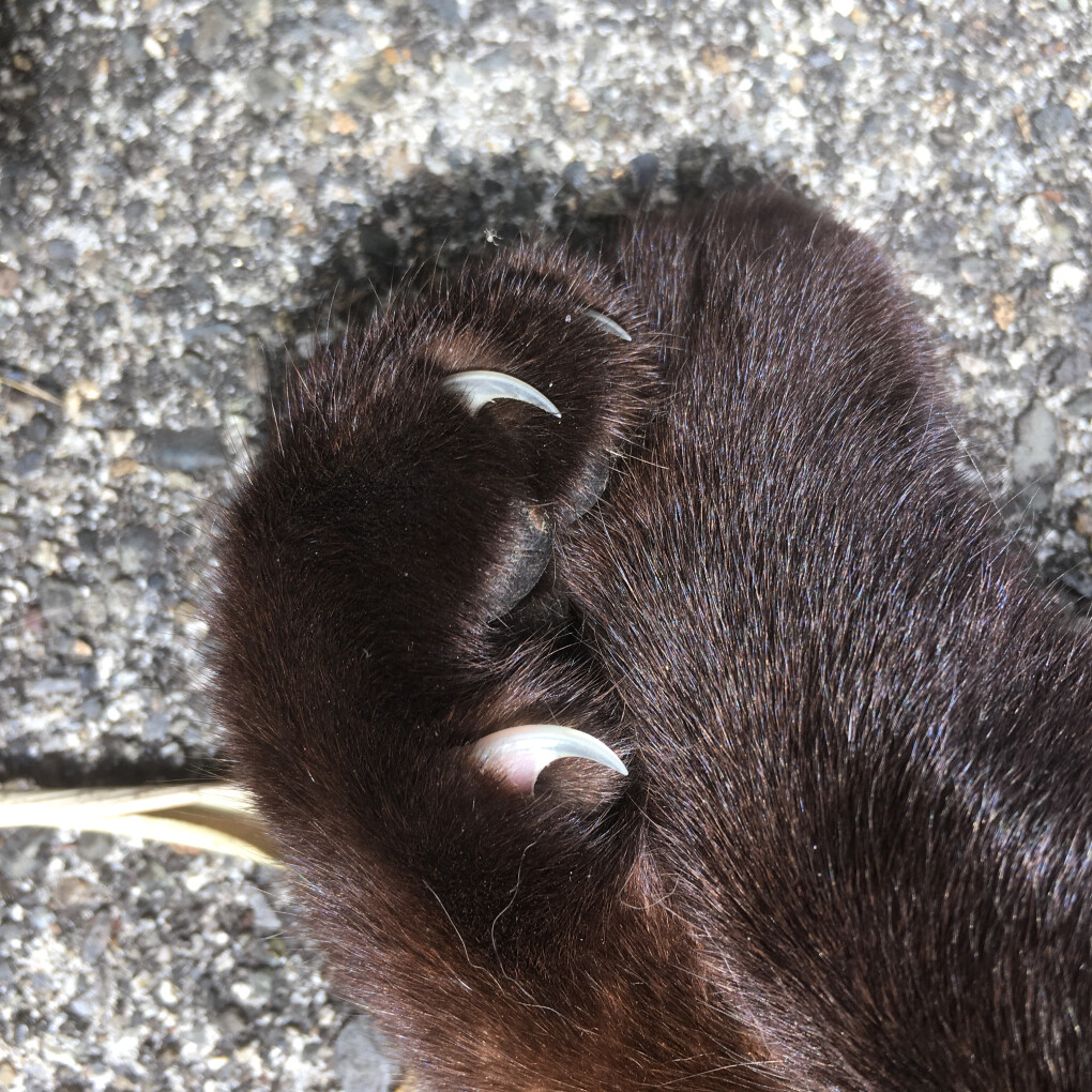 6579991.jpg 6579991.jpg