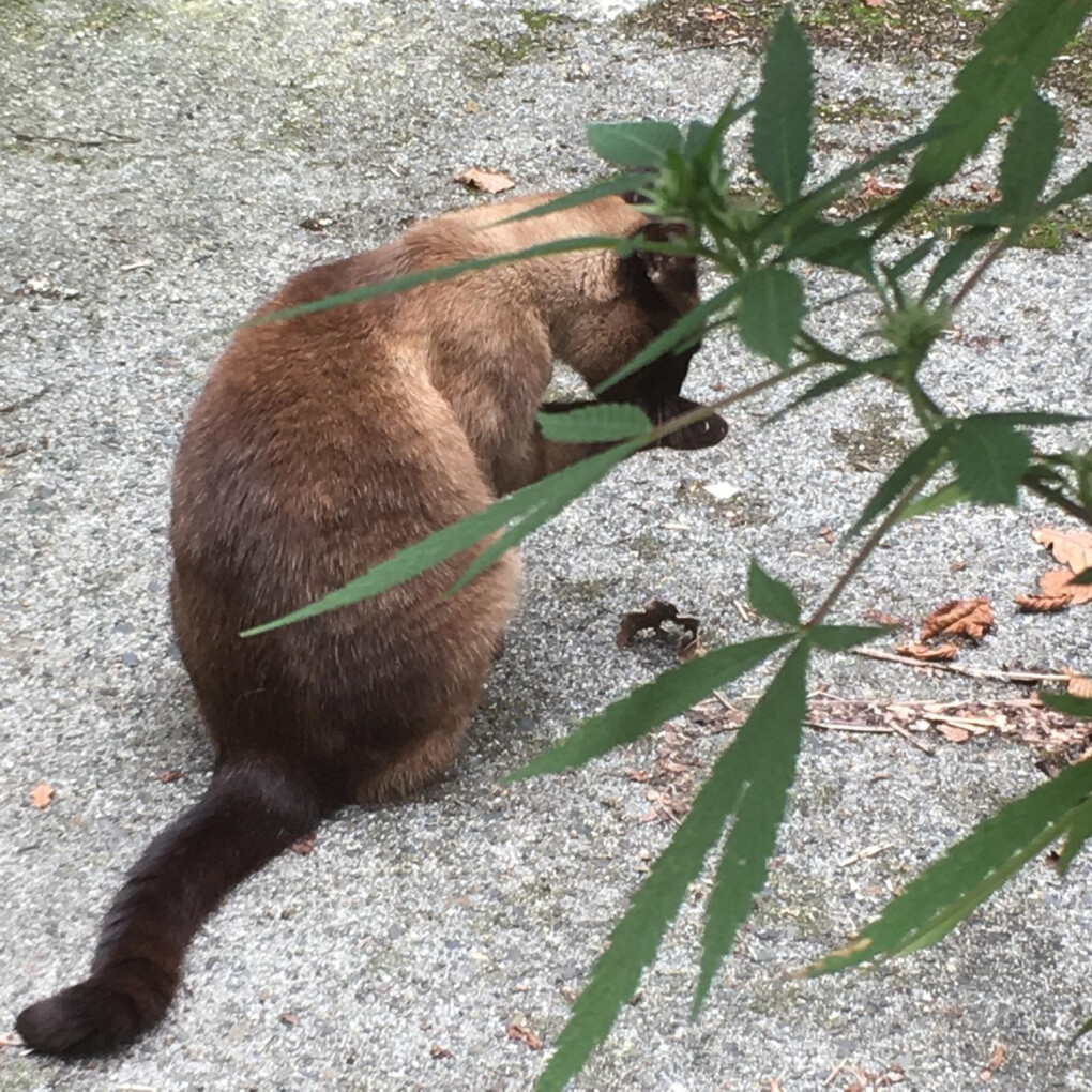 6579992.jpg 6579992.jpg