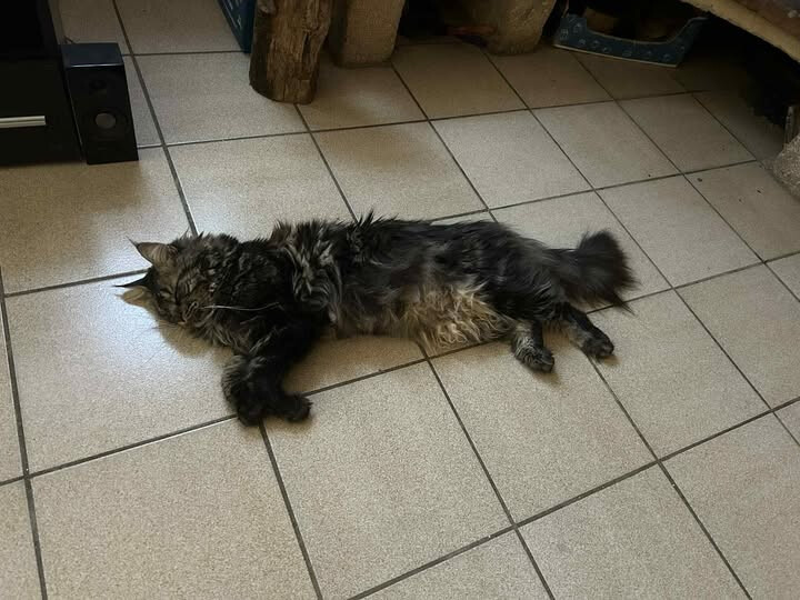 6580008.jpg 6580008.jpg