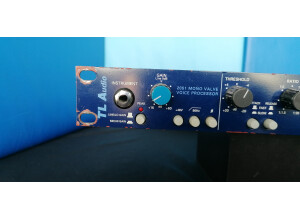 TL Audio 2051 Mono Voice Processor (59632)