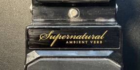 HardWire Pedals Supernatural Ambient Verb - Etat impeccable