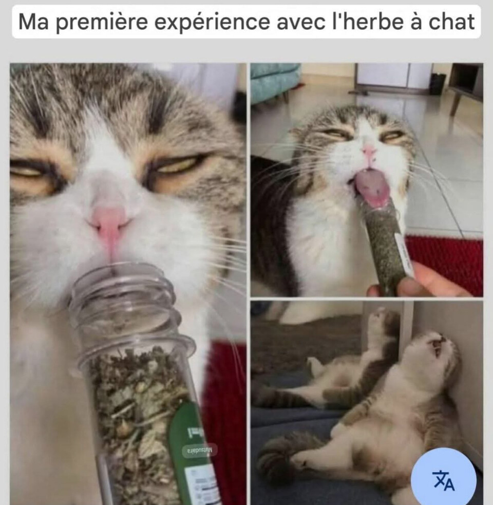 6581808.jpeg 6581808.jpeg
