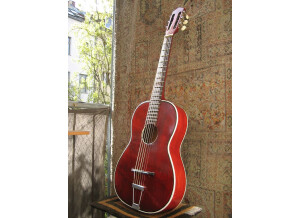 qlvauhfzcactjrnp8gub