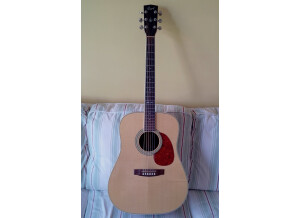 Cort Earth 200 - Natural