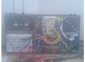 Make Noise Richter WoggleBug (64888)