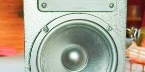 Meyer Sound Enceintes auto-amplifiées UPJunior (pair), Etat comme neuf