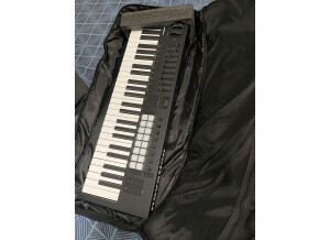 Novation Launchkey 49 MK4 (6713)