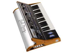 Moog Music Little Phatty Stage II (5698)