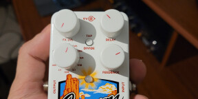 Electro Harmonix Canyon