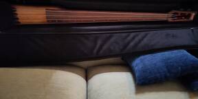 Vends contrebasse électrique Ibanez UB804