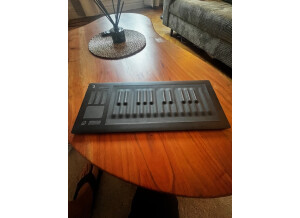 ROLI Seaboard Rise 25 (75151)