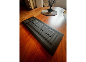 ROLI Seaboard Rise 25 (54678)
