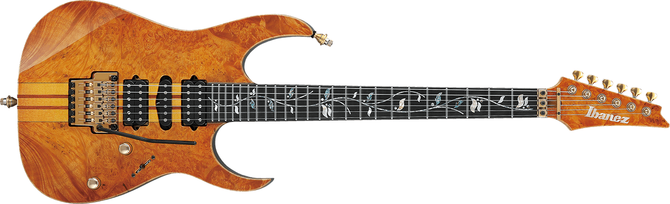 Ibanez IV1RG : IV1RG