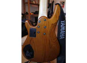 Yamaha TRB5FII (30066)