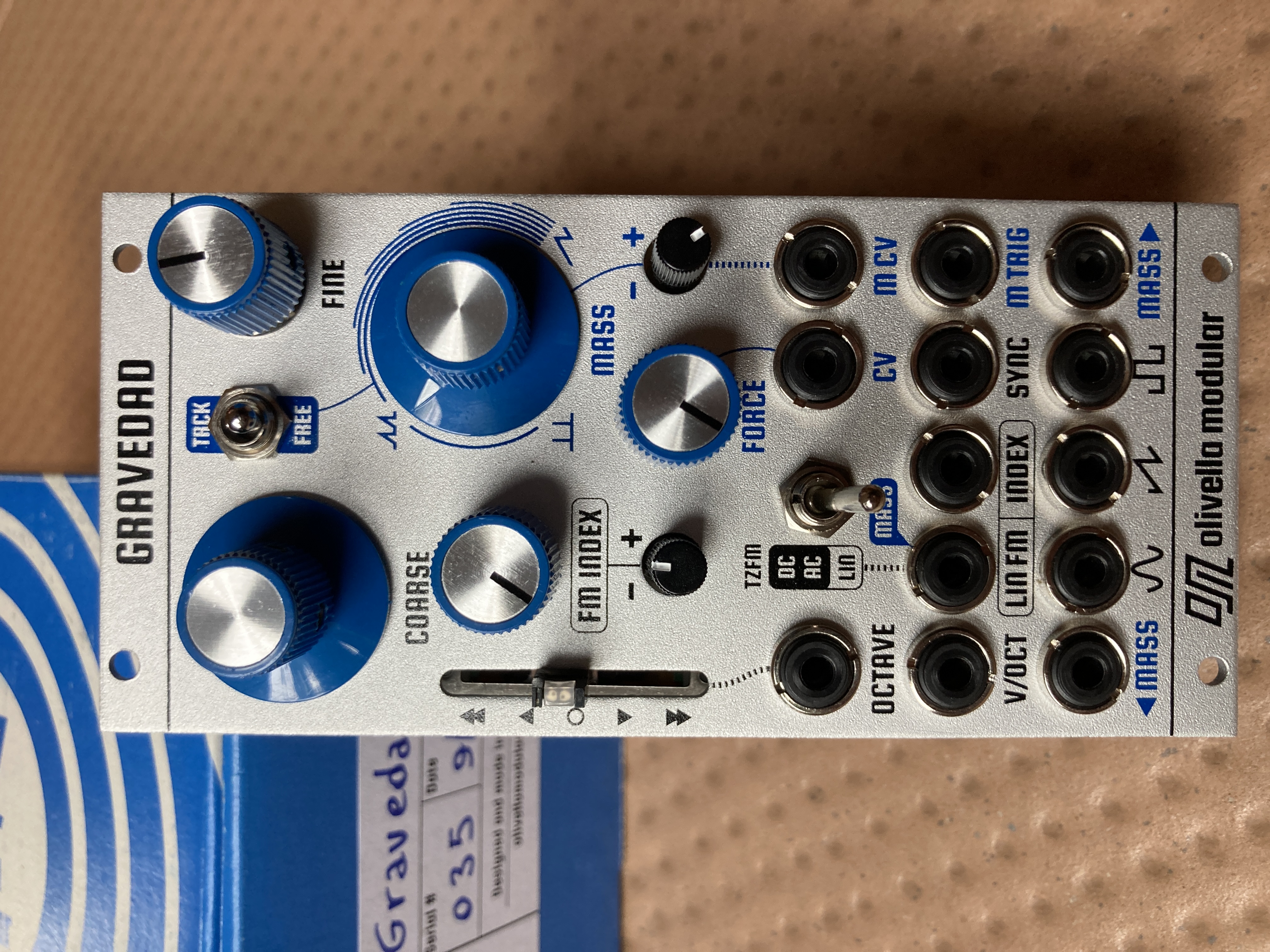 Vends Olivella Gravedad