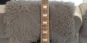 Guitare Epiphone Les Paul Standard Joe bonamassa goldtop