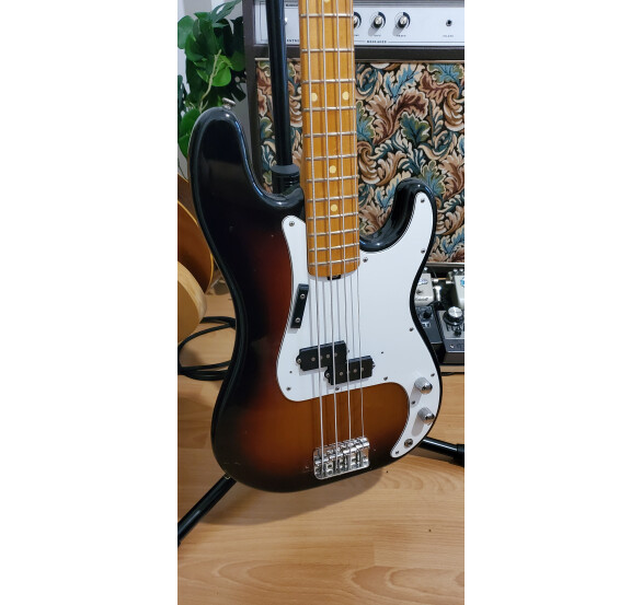 Melody Guitars Vintage 5000 (63169)