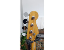 Melody Guitars Vintage 5000 (31399)