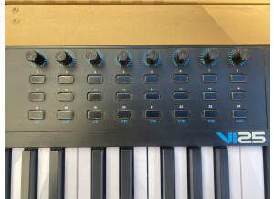 Alesis VI25 (17354)