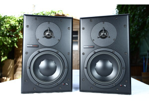 Dynaudio Professional BM6A