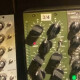 S-Type 500 S-Type 500