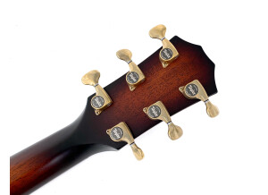 Taylor Builder's Edition 324ce (71469)