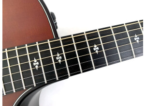 Taylor Builder's Edition 324ce (54710)