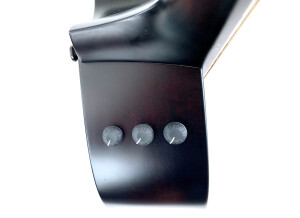 Taylor Builder's Edition 324ce (63592)