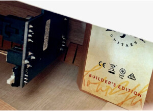 Taylor Builder's Edition 324ce (4695)