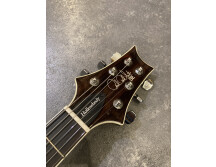 PRS SE Hollowbody II (12050)