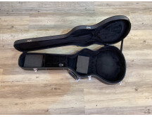 PRS SE Hollowbody II (60599)