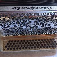 VENDS ACCORDEON CAVAGNOLO