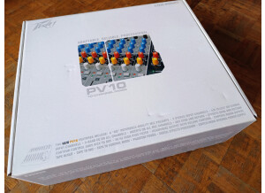 Peavey PV10 (2)