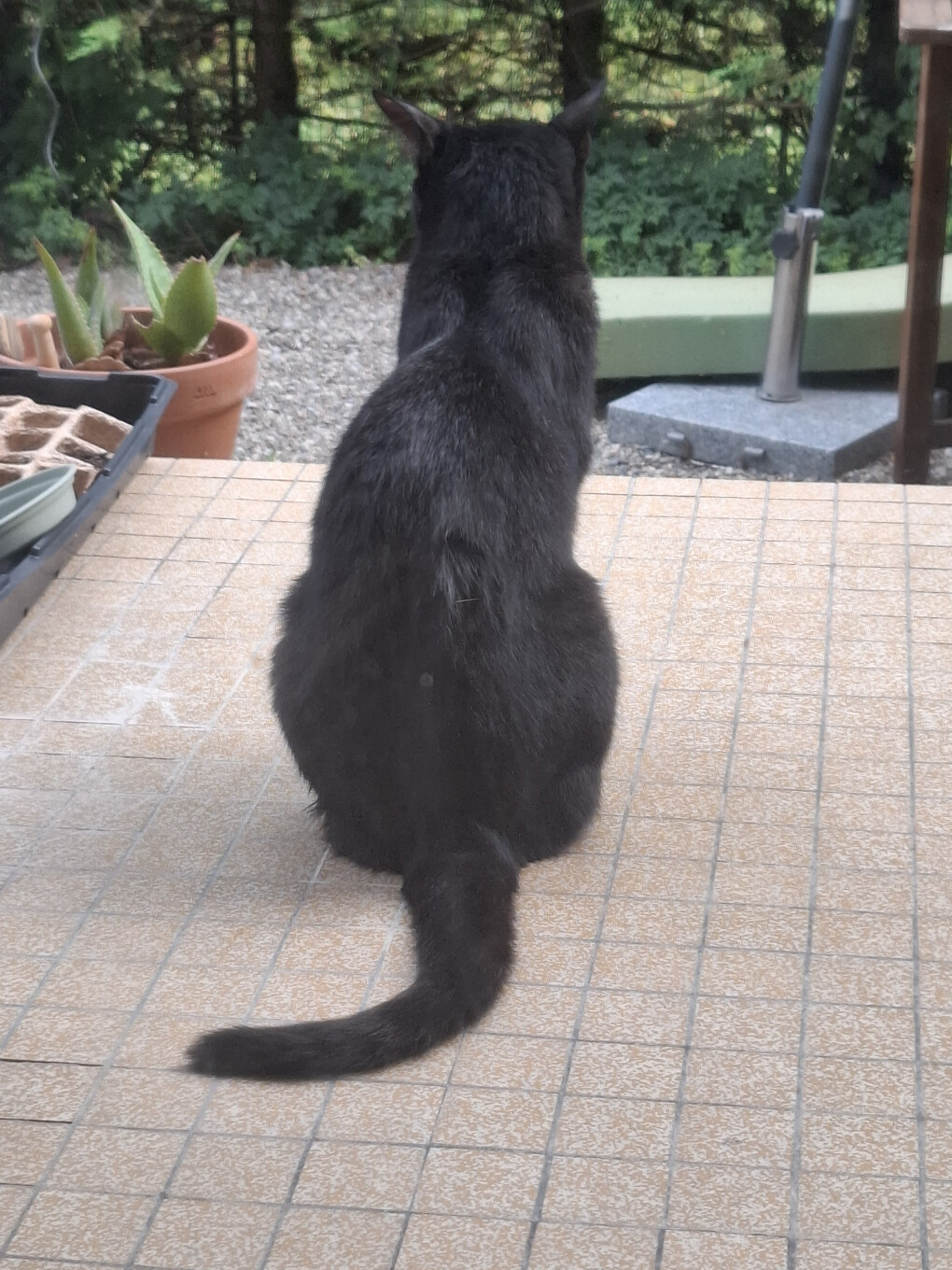 6589533.jpg 6589533.jpg