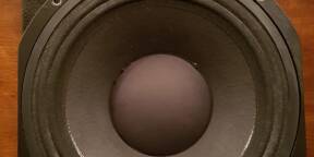 Paire de HP FANE CRESCENDO 10MB.