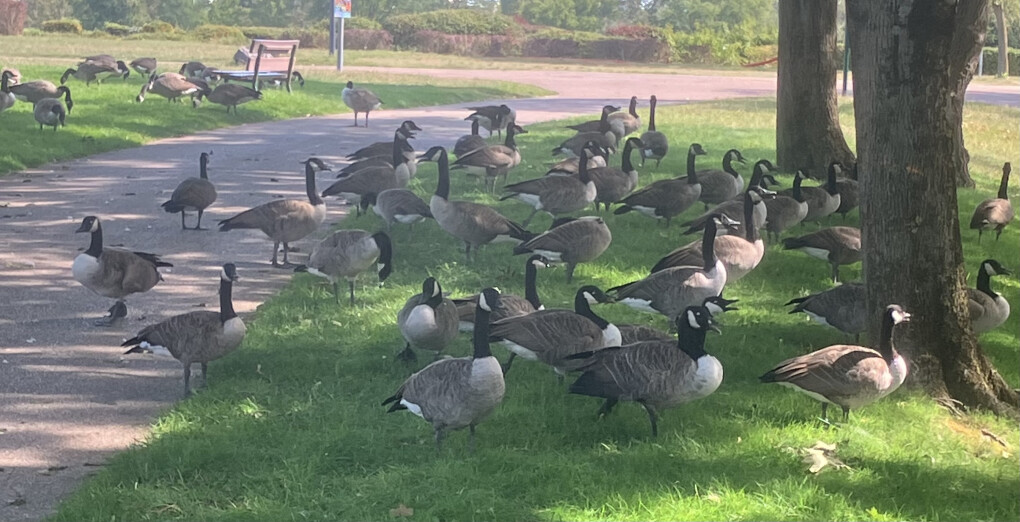 6590882.jpeg 6590882.jpeg