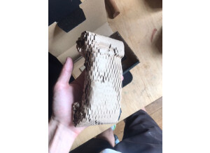 508518891 2327364194400698 3334066405710010820 n