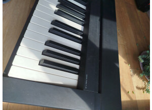 Yamaha P-45 (32555)