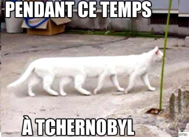 6591498.jpg 6591498.jpg