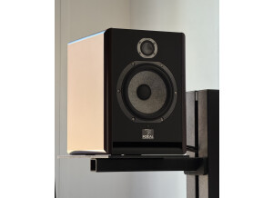 focal-solo6-be-6444552