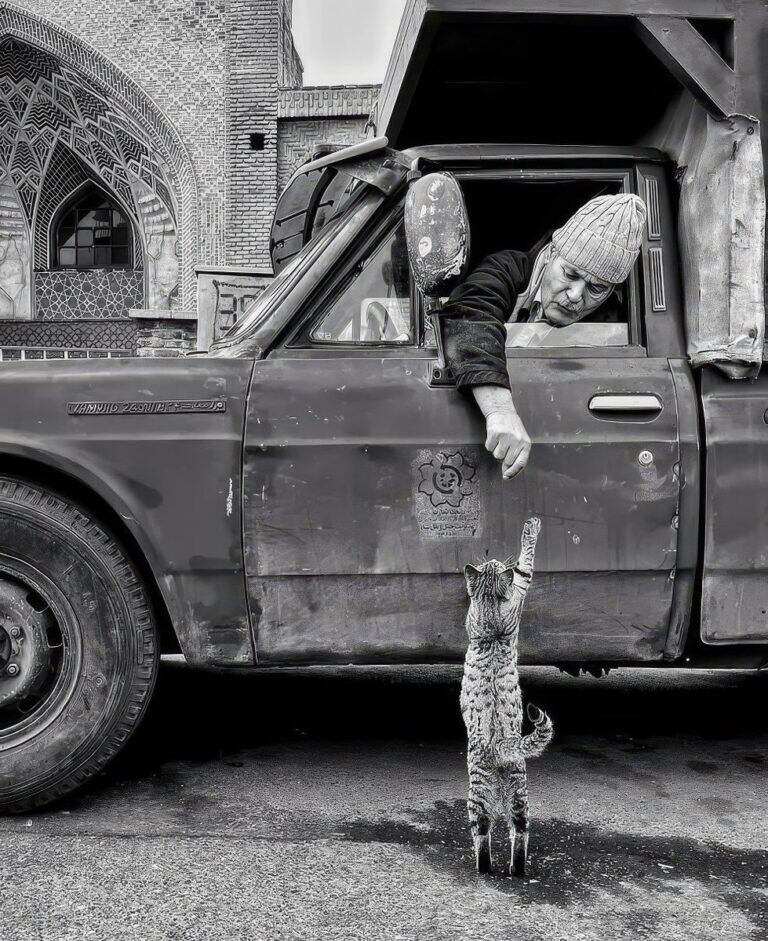 6591687.jpg 6591687.jpg