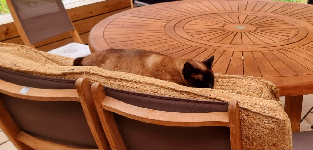 6591778.jpeg 6591778.jpeg