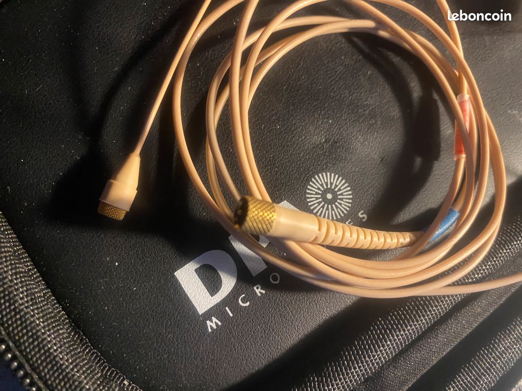 2 micros serre-tête DPA 4066