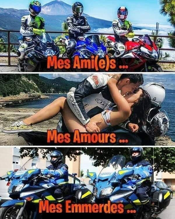 6592876.jpg 6592876.jpg