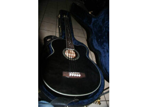 Michael Kelly Guitars Dragonfly 5c (60785)