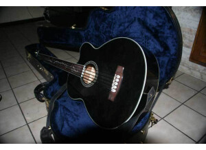 Michael Kelly Guitars Dragonfly 5c (67841)