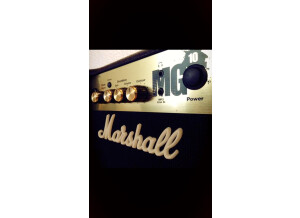 Marshall MG10 [2009 - present]