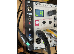 Mutable Instruments Yarns (49004)