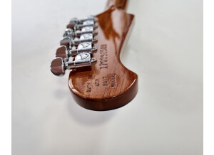 Gibson Firebird Studio T (2017) (61938)