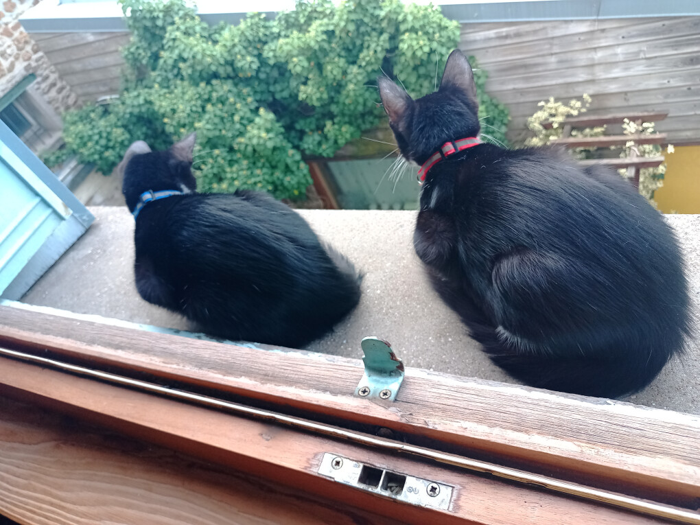 6595210.jpg 6595210.jpg